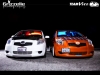 teamvitz-175b